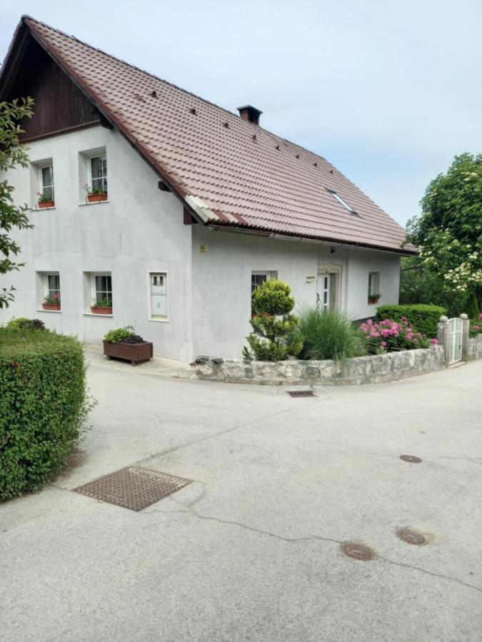 Apartmaji Magda Apartamento Zgornje Gorje Exterior foto