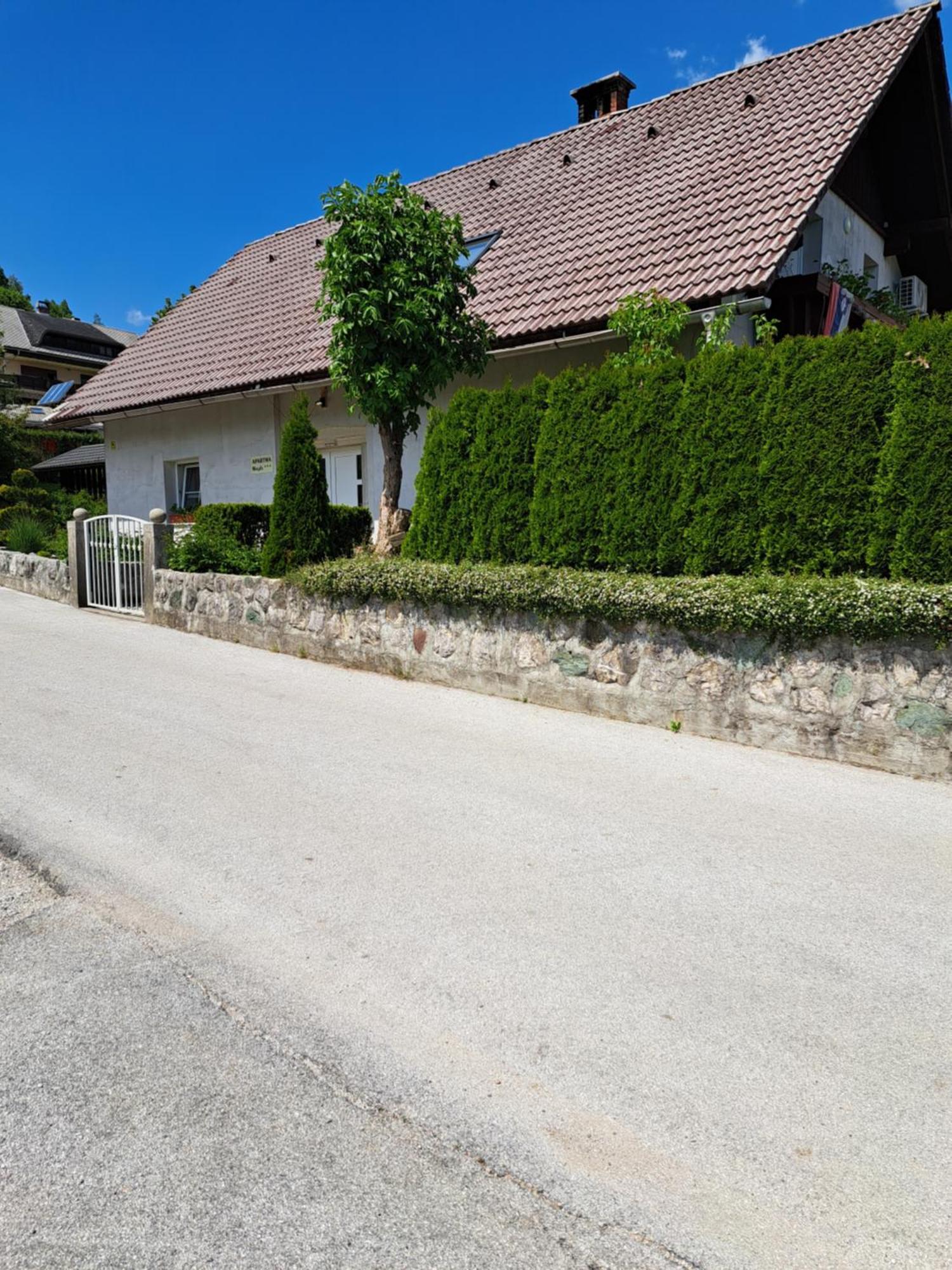 Apartmaji Magda Apartamento Zgornje Gorje Exterior foto